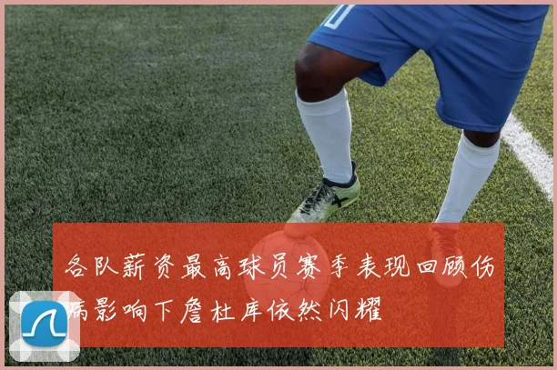 各队薪资最高球员赛季表现回顾伤病影响下詹杜库依然闪耀