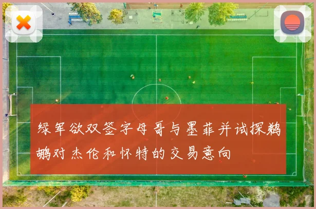绿军欲双签字母哥与墨菲并试探鹈鹕对杰伦和怀特的交易意向